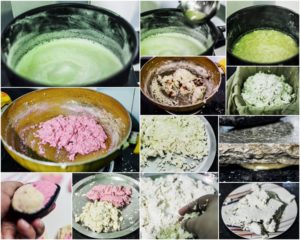 %Making of Two in One Sondesh