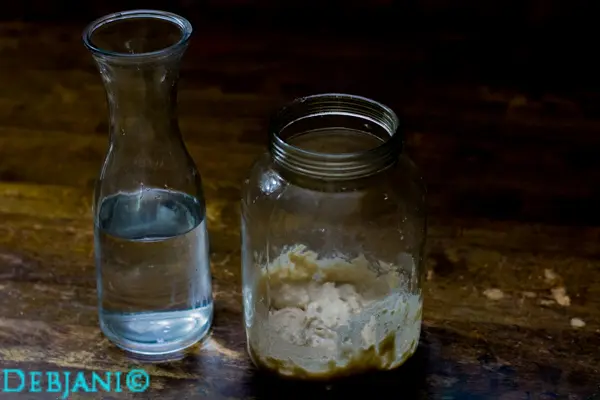 %Day 1 sourdough starter