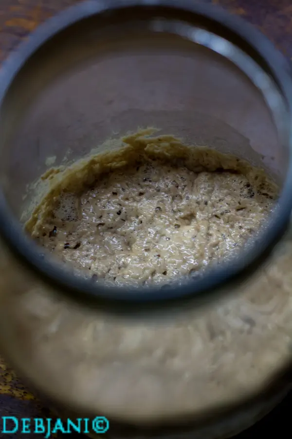 %Day 2 sourdough starter