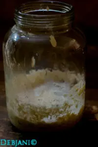 %Day 3 Evening sourdough starter