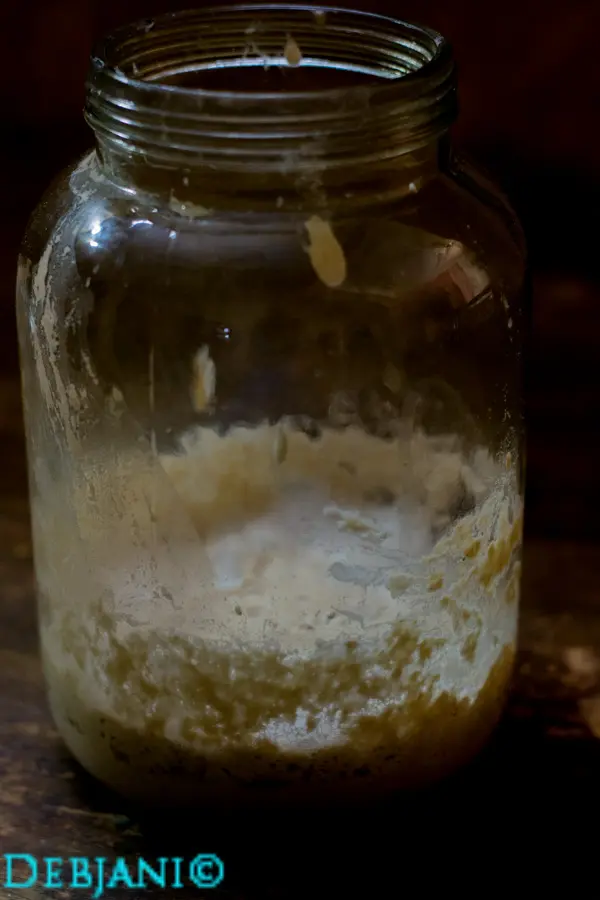 %Day 3 Evening sourdough starter