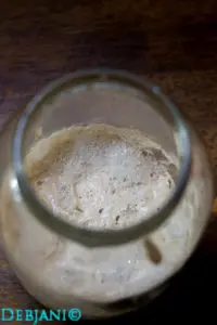 %Day 3 Morning sourdough starter