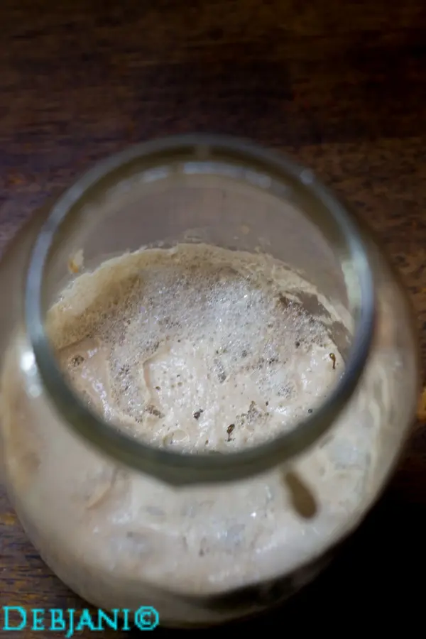 %Day 3 Morning sourdough starter