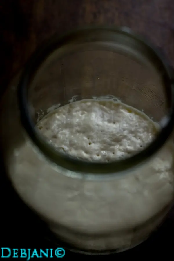 %Day 5 Evening morning sourdough starter