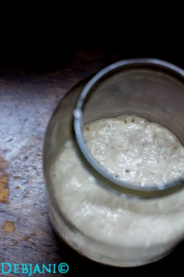 %Day 5 Evening sourdough starter