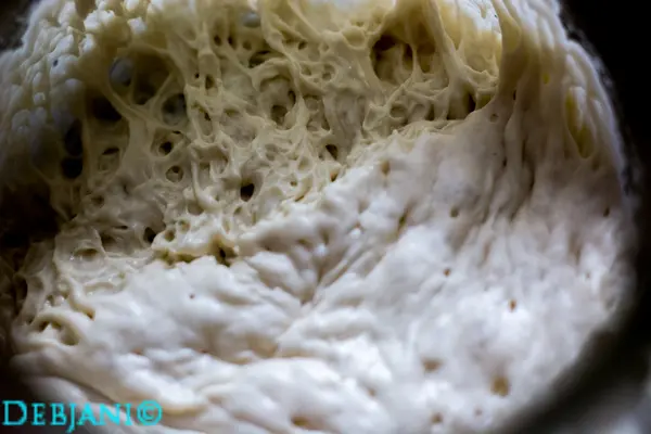 %Day 6 Evening sourdough starter