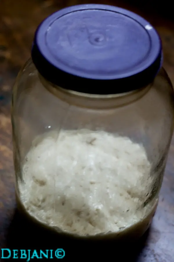 %Day 6 Morning sourdough starter