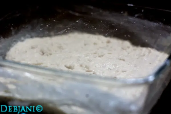 %Day 7 Morning sourdough starter