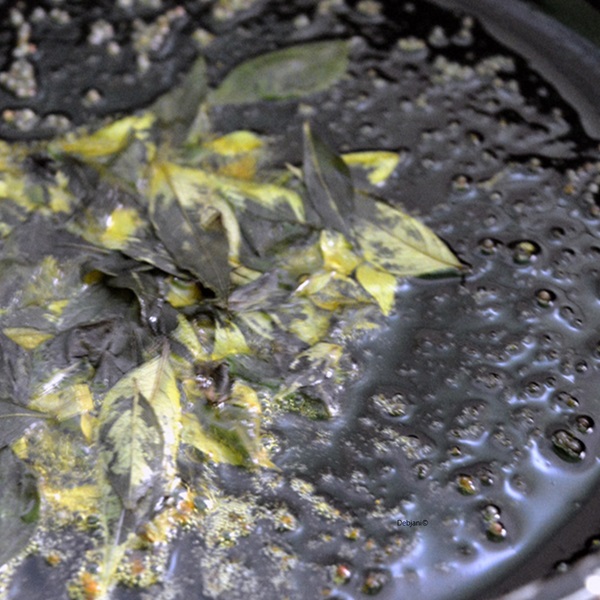 %Malabar Fish Curry Recipe Steps