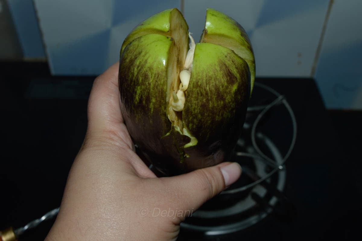 %baingan bharta making debjanir rannaghar