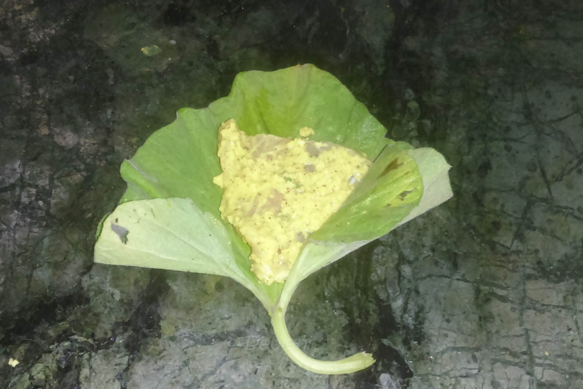 %bhetki macher paturi making debjanir rannaghar