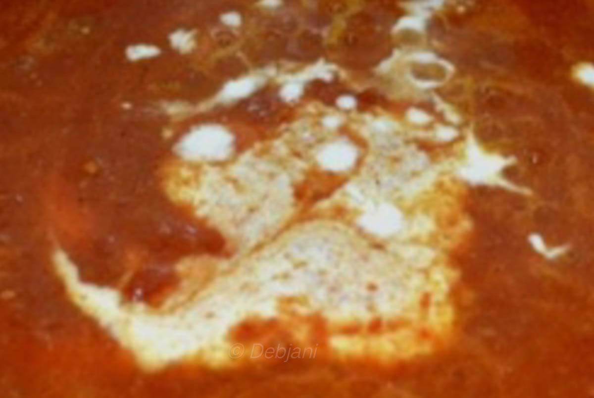 %paneer makhanwala making debjanir rannaghar