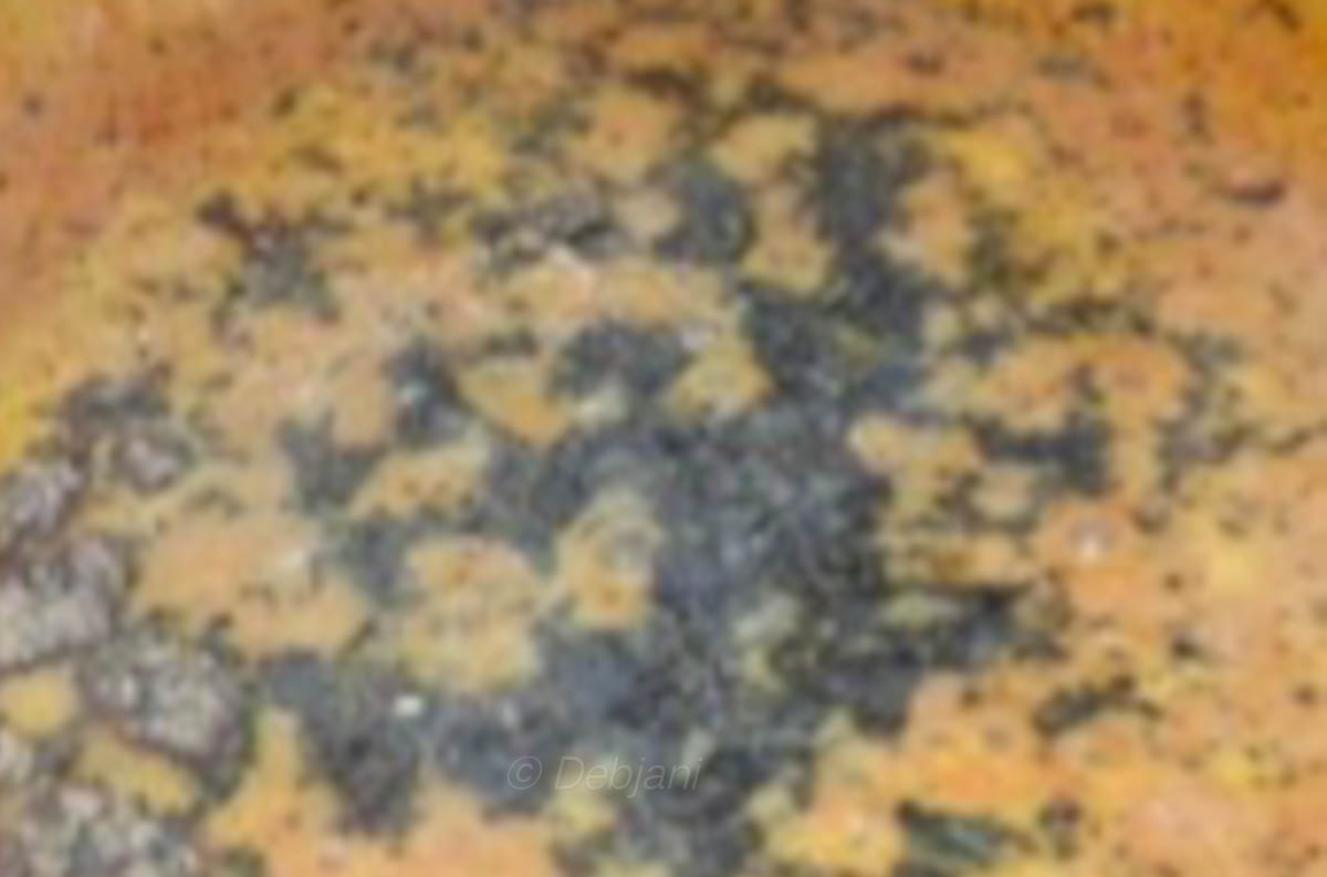 %paneer makhanwala making debjanir rannaghar