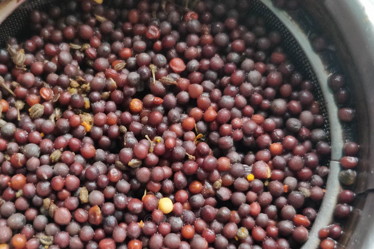 %bengali Pomfret fish curry with shorshe posto making step debjanir rannaghar