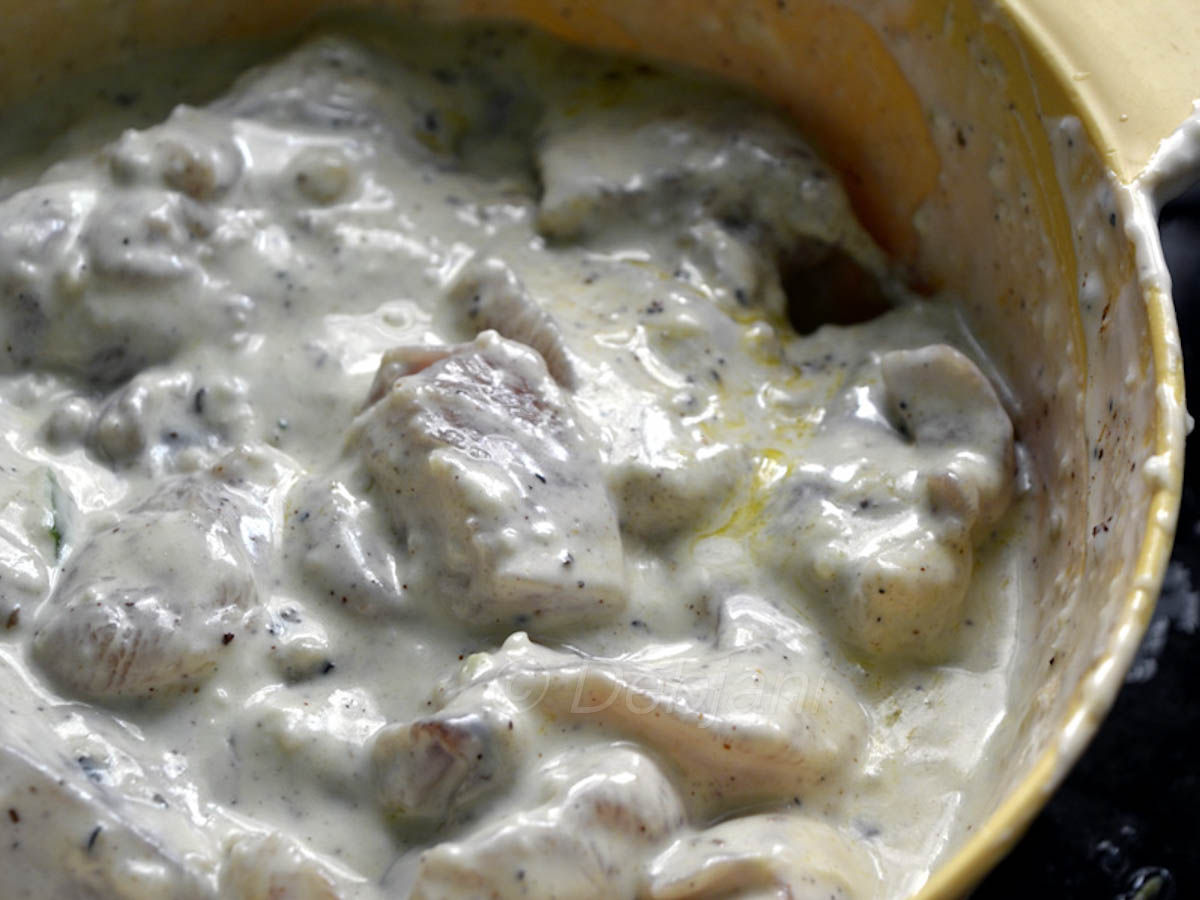 %how to cook chicken malai kebab recipe step debjanir rannaghar